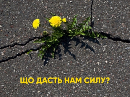 The 2019/2020 PEN Ukraine focus theme: What shall give us power